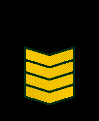 File:Tal-Rank-Army-ER7.png