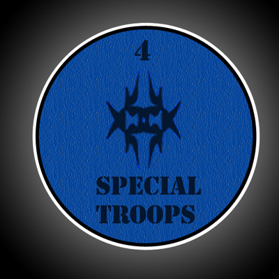 4SpecialTroopsBattal…