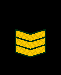 File:Tal-Rank-Army-ER5.png