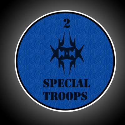 2specialtroopspatch.…