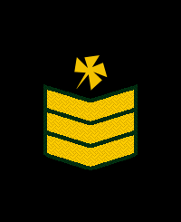 File:Tal-Rank-Army-ER6.png