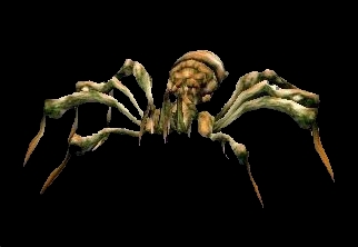 An Arachne Queen.jpg