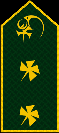File:Tal-Rank-Army-OF08-2.png
