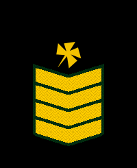 File:Tal-Rank-Army-ER8.png