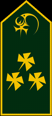 File:Tal-Rank-Army-OF09-2.png