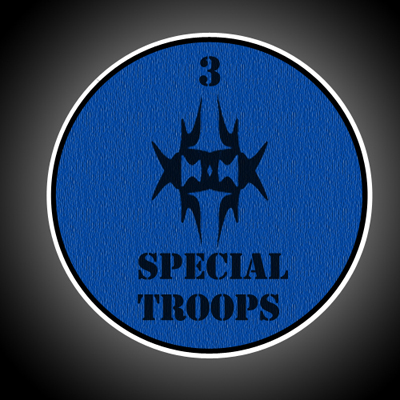 3specialtroopspatch.…