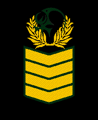 File:Tal-Rank-Army-ER10.png