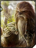 Thumbnail for File:Character sheet wookiee.png