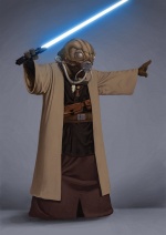 Jedi Sentinel, Wookieepedia