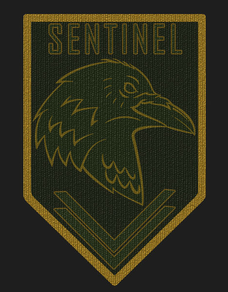 File:Sentinel-Shadow-Company.jpg