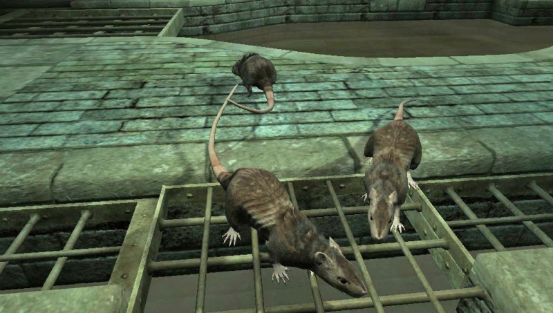 File:Sewer-rats-beneath-Almagast.jpg