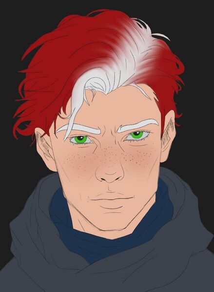 File:Liran headshot.jpg